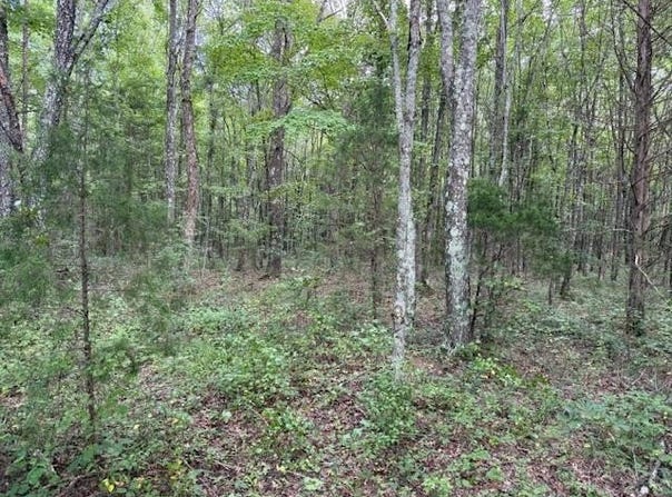 1994 Goforth Rd., Morrison, TN 37110