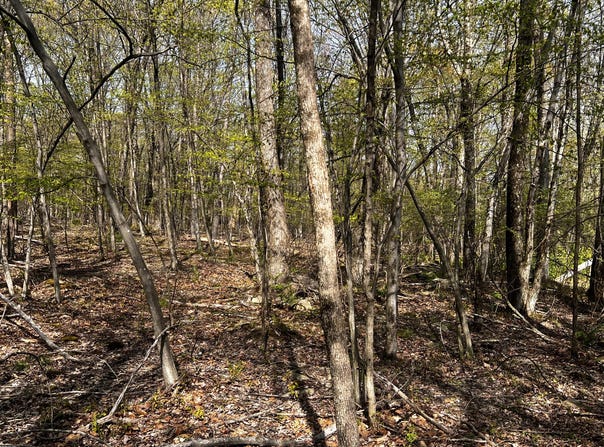 Lot 72 Larkspur/Woodruff, Stroudsburg, PA 18360