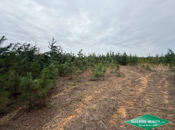 0 Old Snipe Road, Kelleys, LA 71227