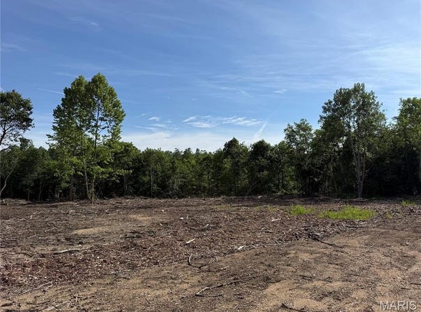 Tract 1 Hidden Valley, Annapolis, MO 63628