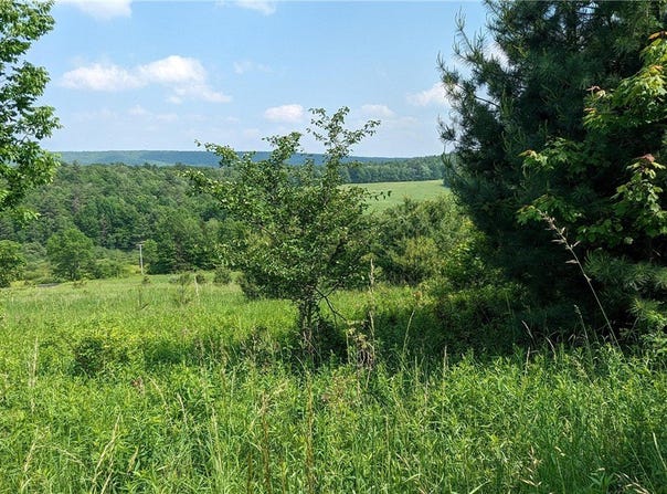 Hubbard Hill Road, Maryland, NY 12116