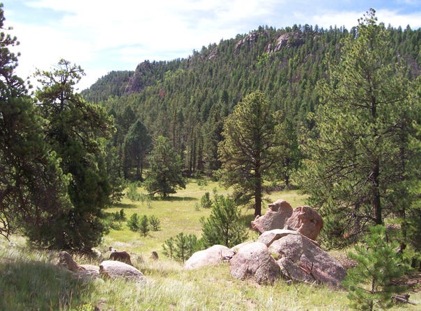 TBD County Road 12, Florissant, CO 80816
