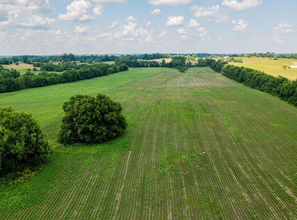 1341 Nevins Station, Lawrenceburg, KY 40342