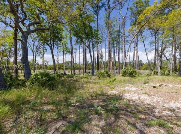 47 Beauregard Blvd, Daufuskie Island, SC 29915