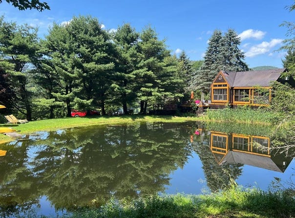 226 Crystal Meadows Rd, Downsville, NY 13782