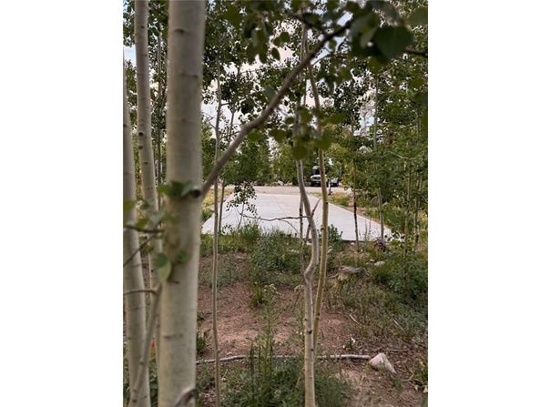 228 SUNSHINE LOOP, Fairplay, CO 80440