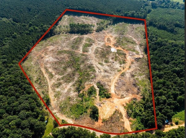 48.5 Acres Bufkin Rd., Walnut Grove, MS 39189