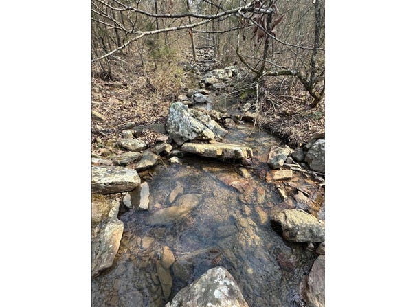 Cold Springs Road, Waldron, AR 72958