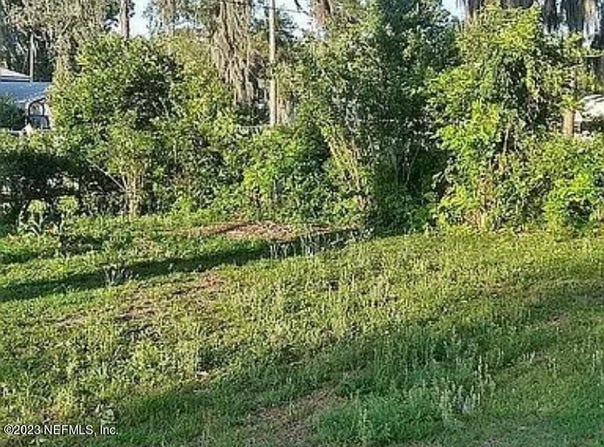 705 HICKORY NUT Trail, Satsuma, FL 32189
