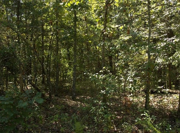 1505 Blackbird  LN, Horseshoe Bend, AR 72512