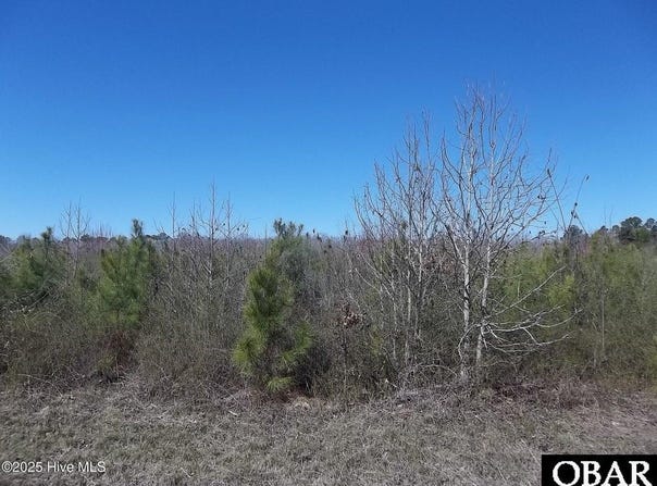 TBD Boat Ramp Road, Hertford, NC 27944