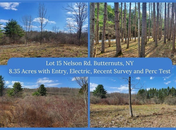 Lot 15 Nelson Road, Butternuts, NY 13843