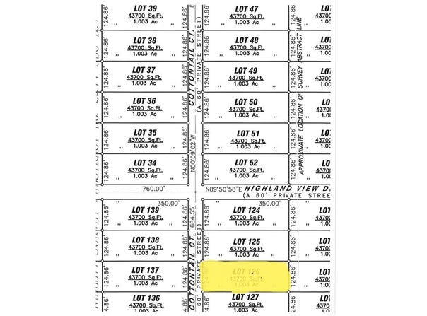 6009 Cotton Tail Court, Springtown, TX 76082
