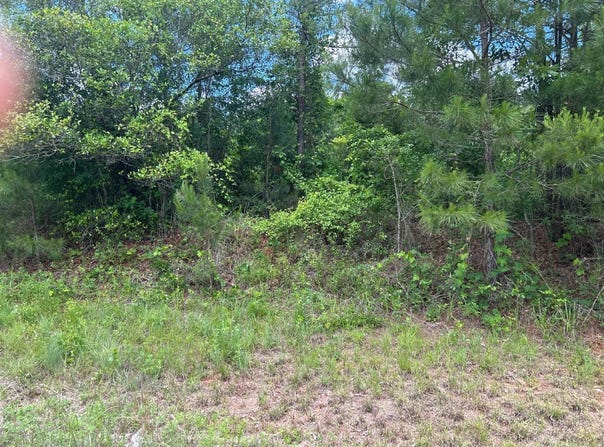 0 Rose Hill Road, Rose Hill, AL 35210