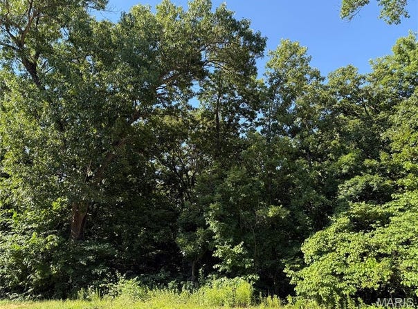10 Big Tom Court, Hawk Point, MO 63349