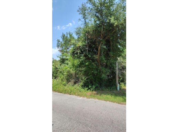 00 Lot3 Meagen Lane, Manning, SC 29102