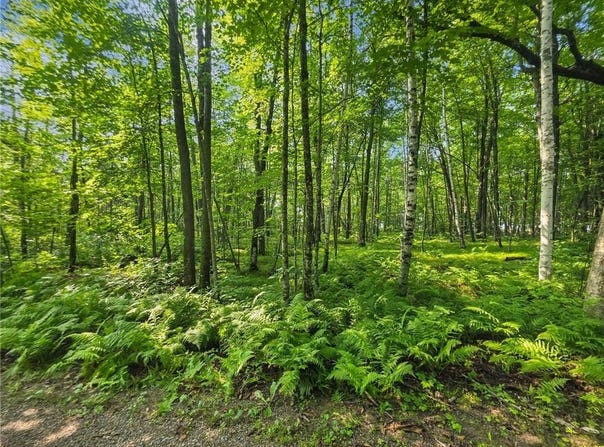 28017 303rd Place, Aitkin, MN 56431