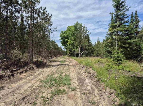 80 Acres Off Little Harbor, Manistique, MI 49854