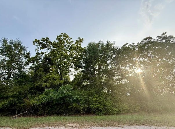 550 County Road 268, Newville, AL 36353