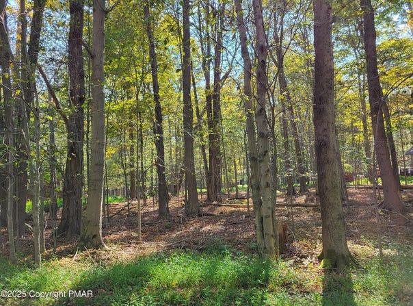 869 Sunset Drive, Gouldsboro, PA 18424