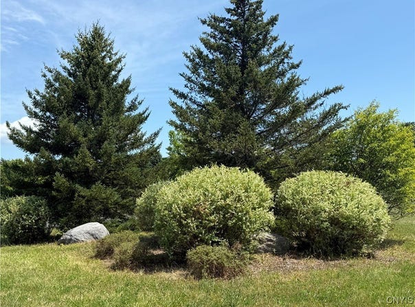 6111 Aylesbury Path (Lot 303), Manlius, NY 13104