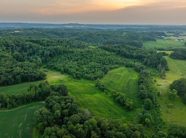 County Road S, Blair, WI 54616