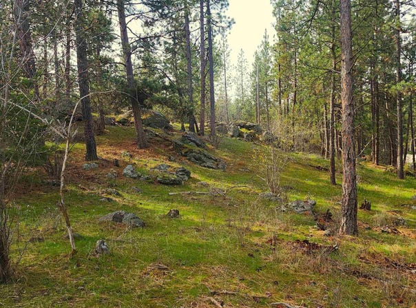 1815 S Eastern Road, Spokane Valley, WA 99212