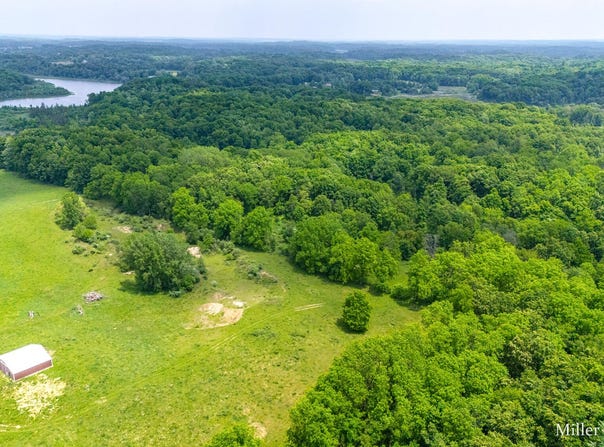 V/L Lammers Road, Delton, MI 49046