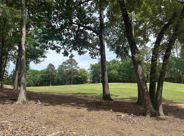 537 Misty Banks Drive, Chapin, SC 29036