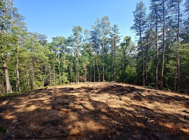 199 Megan Trace Lane, Turtletown, TN 37391