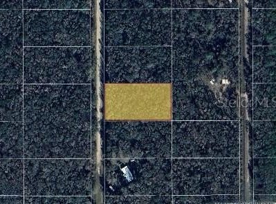 10140 YEAGER AVENUE, HASTINGS, FL 32145