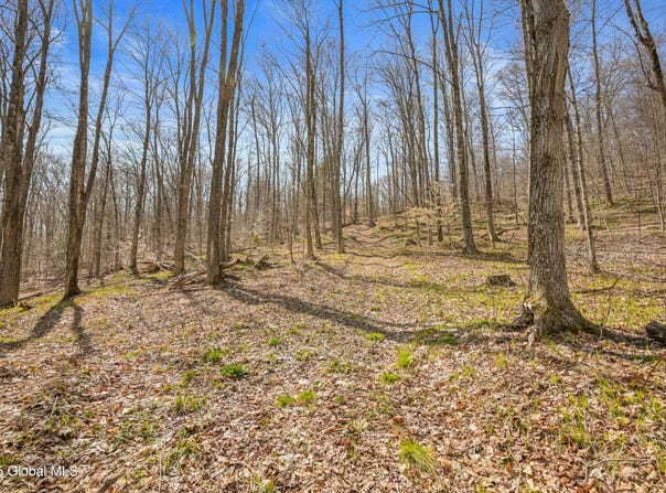L9.113 Lutheranville Road, Summit, NY 12175
