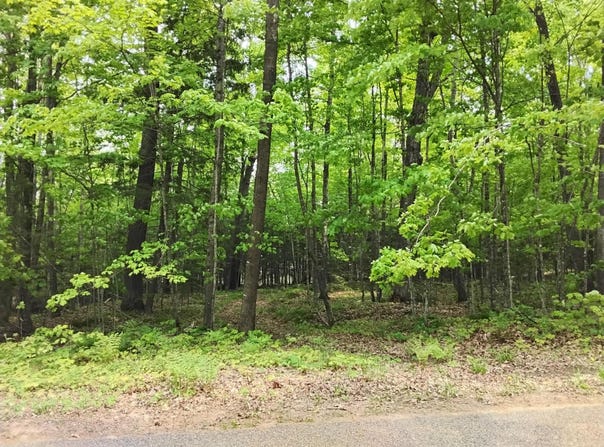 Lot 180 BUCKSKIN TR, Minocqua, WI 54548