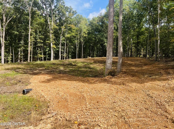 1033 Strike King Dr (Lot 195), Cedar Grove, TN 38321