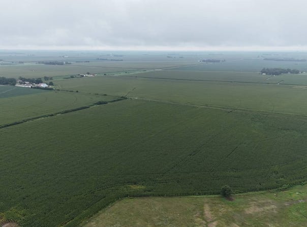N C Road, Phillips, NE 68865
