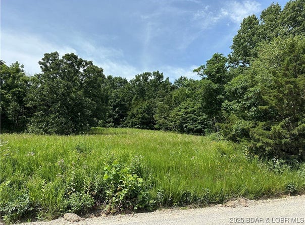 Lot 3r Lick Creek Road, Edwards, MO 65326