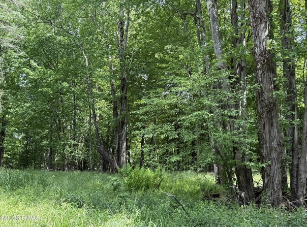 Dixon Valley Road, Pleasant Mount, PA 18453