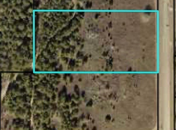 4.13 +/- acres Pitts, Hawkinsville, GA 31036