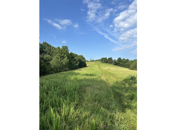 000 Terrace Lane, Cape Fair, MO 65624