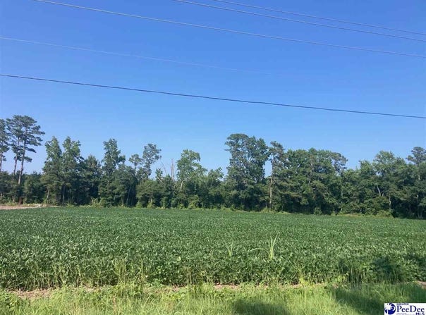 TBD W Main Street, Dillon, SC 29536