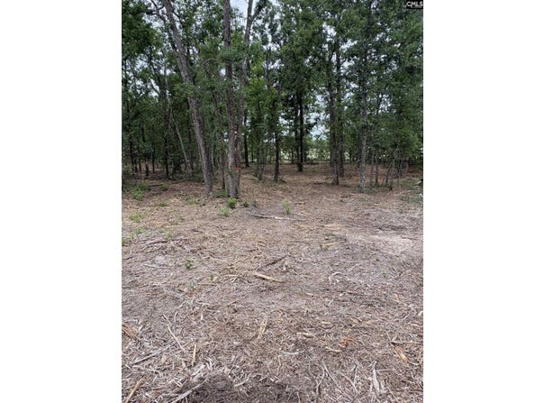 Lot 1 Quattlebaum Drive, Leesville, SC 29070
