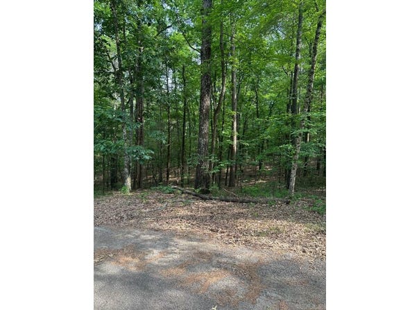 Lot 61 West Cliff Drive, Fairfield Bay, AR 72088