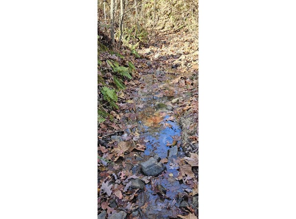 0 Orange LN, Troutville, VA 24175