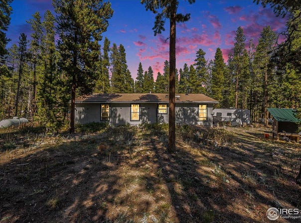 272 Severance Lodge Rd, Black Hawk, CO 80422