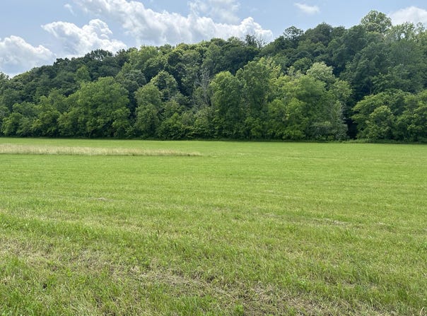 Tract 3 Wallace Mill Road, Paint Lick, KY 40461