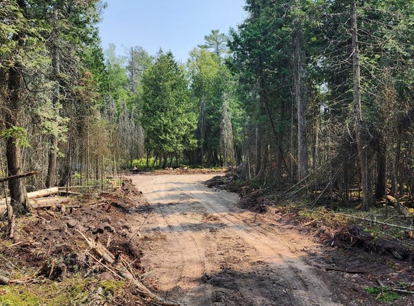 1 N SHIAWASEE TRL, HESSEL, MI 49745