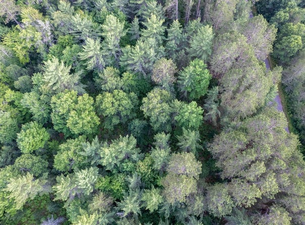 Lot 16 DADS LAKE RD, Eagle River, WI 54521
