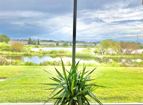 10155 HAVERHILL RIDGE Drive, RIVERVIEW, FL 33578
