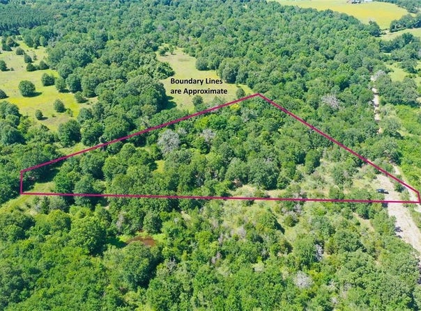 Tract 10 FCR 295, Oakwood, TX 75855