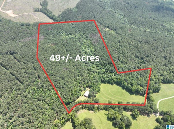 1540 PEPPER ROAD, ASHLAND, AL 36251